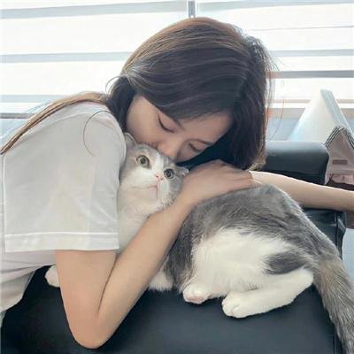 龙牌之谜